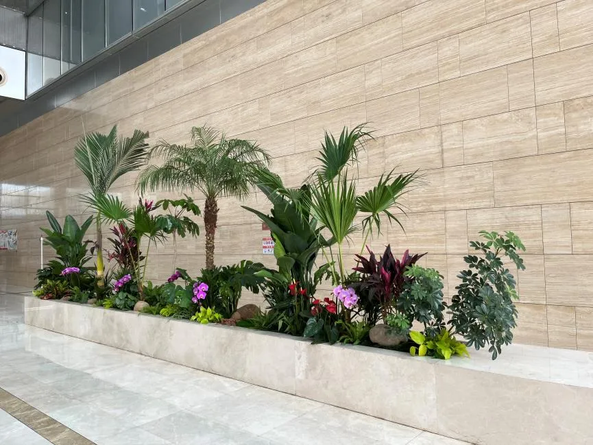 寻宁波镇海专业花卉租赁，开启别样绿意