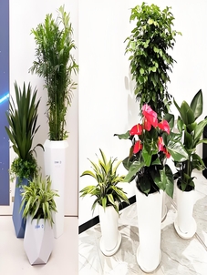 探寻杭州湾绿化养护，优质服务的魅力所在！